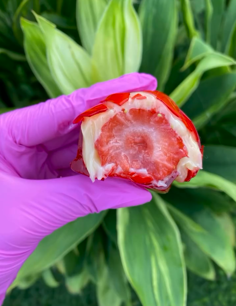 Vídeo da Doces Marcante no Instagram